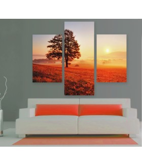 Multi-canvas 3x Tree and sun